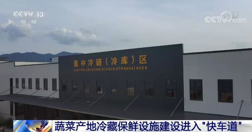 蔬菜产地冷藏保鲜设施建设加速“落地生花”，全链条服务推动提档升级
